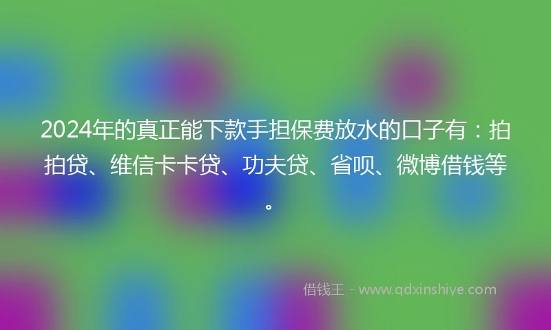2024年的真正能下款手担保费放水的口子有：拍拍贷、维信卡卡贷、功夫贷、省呗、微博借钱等。