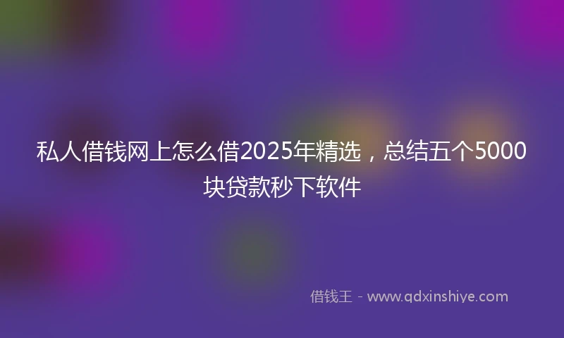 私人借钱网上怎么借2025年精选，总结五个5000块贷款秒下软件