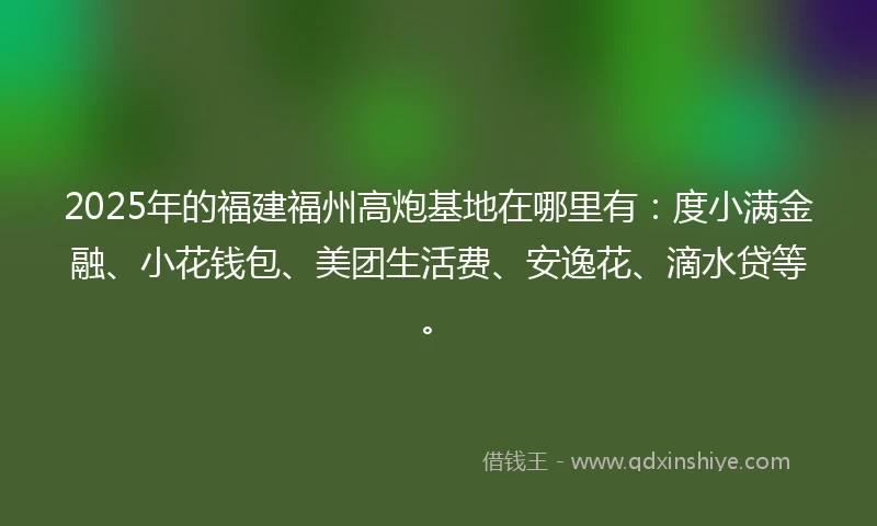 2025年的福建福州高炮基地在哪里有：度小满金融、小花钱包、美团生活费、安逸花、滴水贷等。