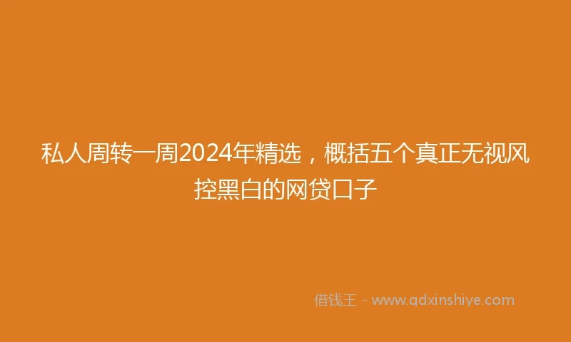 私人周转一周2024年精选，概括五个真正无视风控黑白的网贷口子