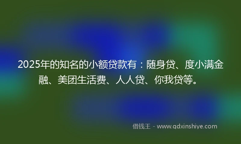 2025年的知名的小额贷款有：随身贷、度小满金融、美团生活费、人人贷、你我贷等。