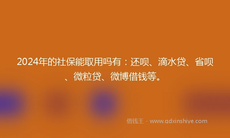 2024年的社保能取用吗有：还呗、滴水贷、省呗、微粒贷、微博借钱等。