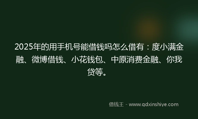 2025年的用手机号能借钱吗怎么借有：度小满金融、微博借钱、小花钱包、中原消费金融、你我贷等。