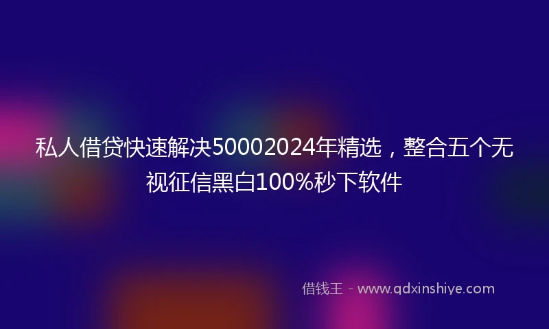 私人借贷快速解决50002024年精选，整合五个无视征信黑白100%秒下软件
