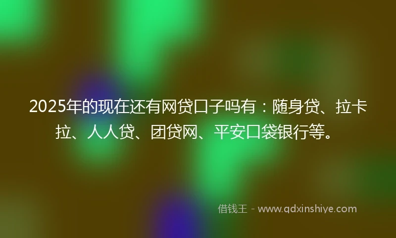 2025年的现在还有网贷口子吗有：随身贷、拉卡拉、人人贷、团贷网、平安口袋银行等。