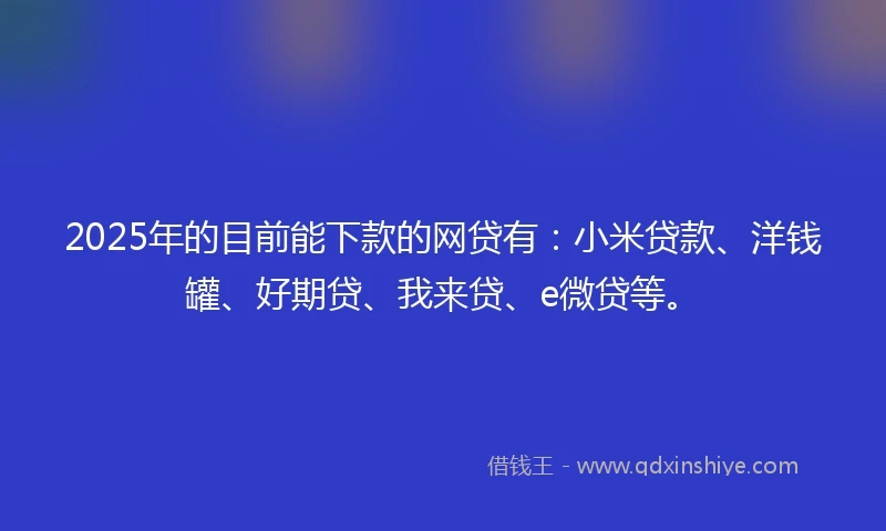 2025年的目前能下款的网贷有：小米贷款、洋钱罐、好期贷、我来贷、e微贷等。