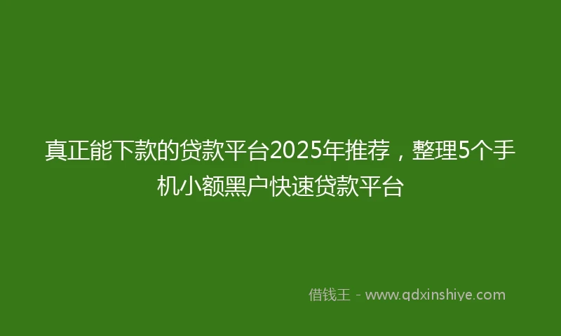真正能下款的贷款平台2025年推荐，整理5个手机小额黑户快速贷款平台