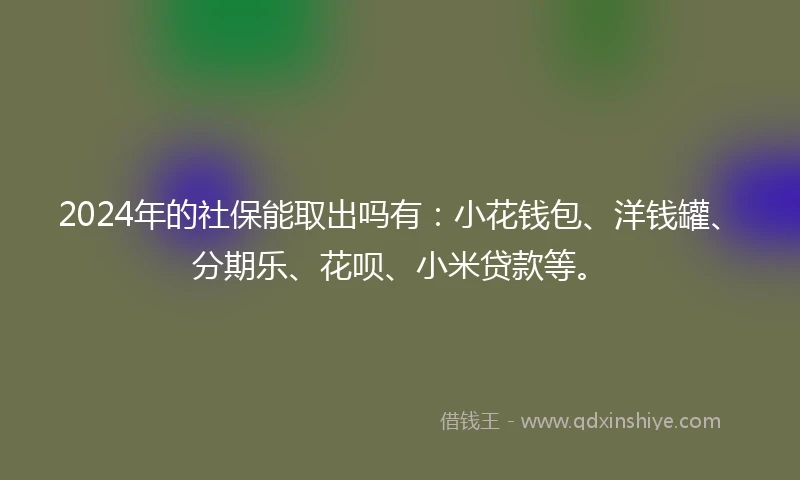 2024年的社保能取出吗有：小花钱包、洋钱罐、分期乐、花呗、小米贷款等。