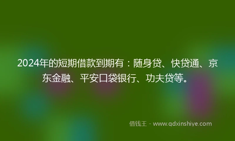 2024年的短期借款到期有：随身贷、快贷通、京东金融、平安口袋银行、功夫贷等。