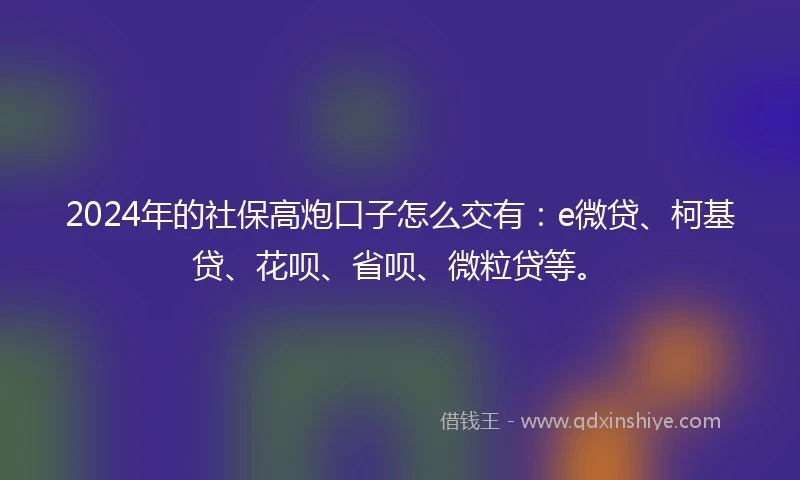 2024年的社保高炮口子怎么交有：e微贷、柯基贷、花呗、省呗、微粒贷等。