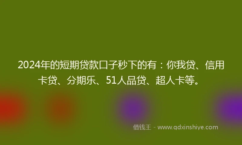 2024年的短期贷款口子秒下的有：你我贷、信用卡贷、分期乐、51人品贷、超人卡等。