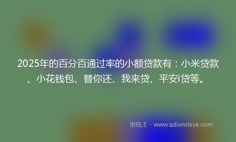2025年的百分百通过率的小额贷款有：小米贷款、小花钱包、替你还、我来贷、平安i贷等。