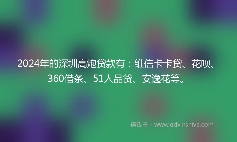 2024年的深圳高炮贷款有：维信卡卡贷、花呗、360借条、51人品贷、安逸花等。