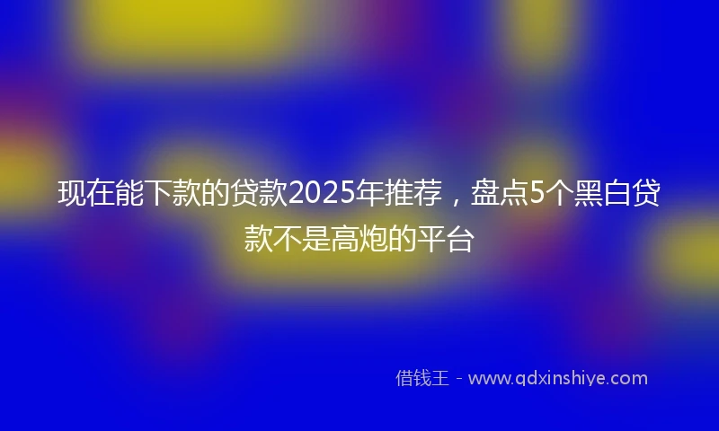 现在能下款的贷款2025年推荐，盘点5个黑白贷款不是高炮的平台