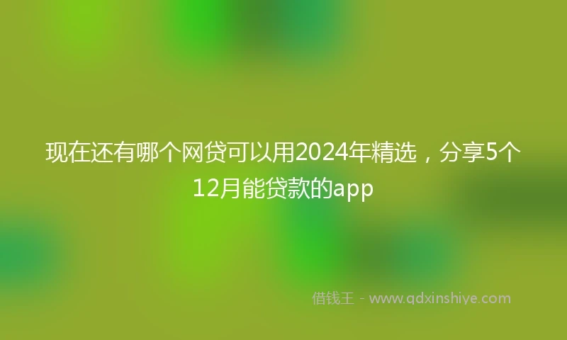 现在还有哪个网贷可以用2024年精选，分享5个12月能贷款的app
