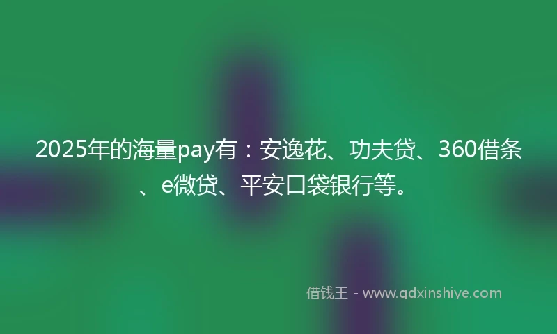 2025年的海量pay有：安逸花、功夫贷、360借条、e微贷、平安口袋银行等。