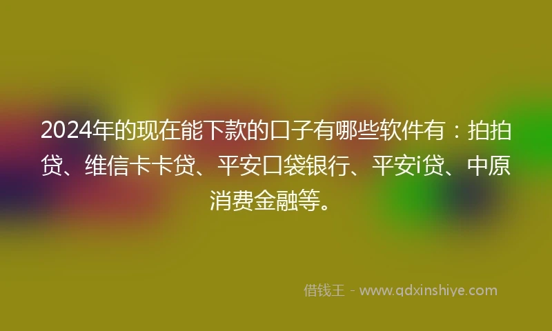 2024年的现在能下款的口子有哪些软件有：拍拍贷、维信卡卡贷、平安口袋银行、平安i贷、中原消费金融等。