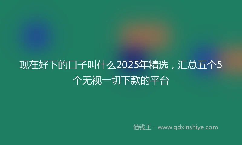 现在好下的口子叫什么2025年精选,汇总五个5个无视一切下款的平台