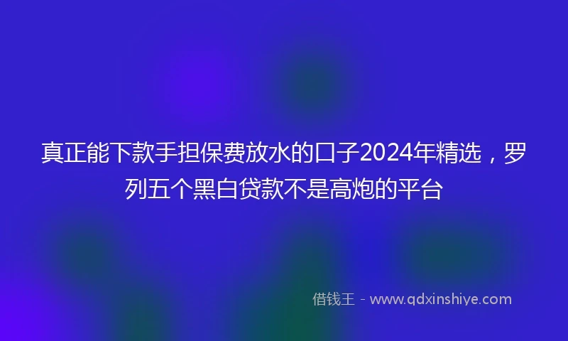 真正能下款手担保费放水的口子2024年精选，罗列五个黑白贷款不是高炮的平台