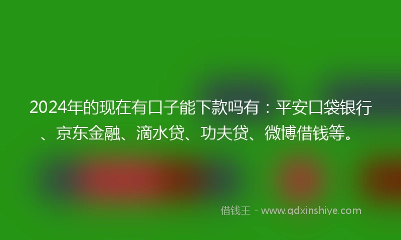 2024年的现在有口子能下款吗有：平安口袋银行、京东金融、滴水贷、功夫贷、微博借钱等。