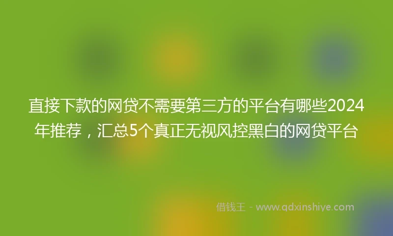 直接下款的网贷不需要第三方的平台有哪些2024年推荐，汇总5个真正无视风控黑白的网贷平台