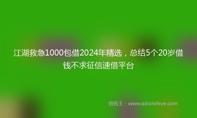 江湖救急1000包借2024年精选，总结5个20岁借钱不求征信速借平台