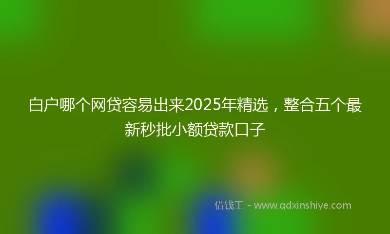 白户哪个网贷容易出来2025年精选，整合五个最新秒批小额贷款口子