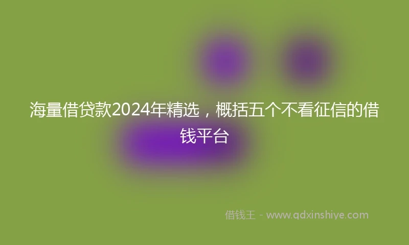 海量借贷款2024年精选，概括五个不看征信的借钱平台