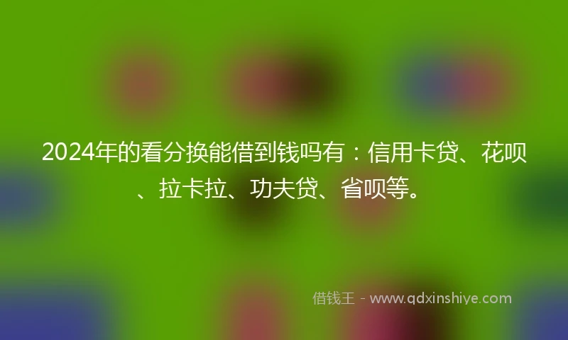 2024年的看分换能借到钱吗有：信用卡贷、花呗、拉卡拉、功夫贷、省呗等。