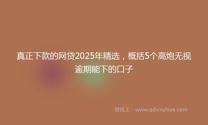 真正下款的网贷2025年精选，概括5个高炮无视逾期能下的口子