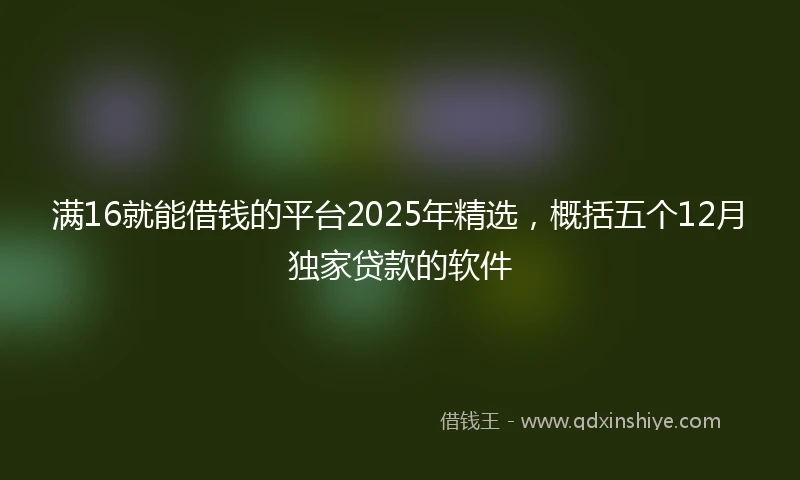 满16就能借钱的平台2025年精选，概括五个12月独家贷款的软件