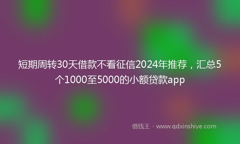 短期周转30天借款不看征信2024年推荐，汇总5个1000至5000的小额贷款app