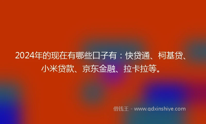 2024年的现在有哪些口子有：快贷通、柯基贷、小米贷款、京东金融、拉卡拉等。