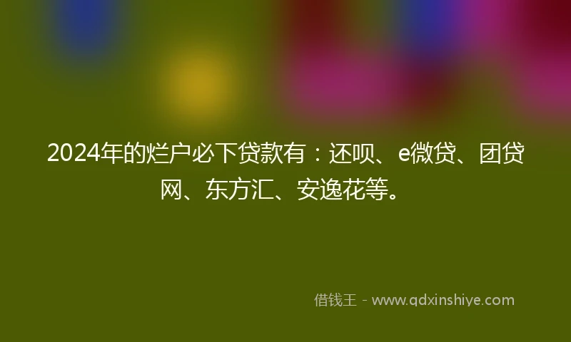 2024年的烂户必下贷款有：还呗、e微贷、团贷网、东方汇、安逸花等。