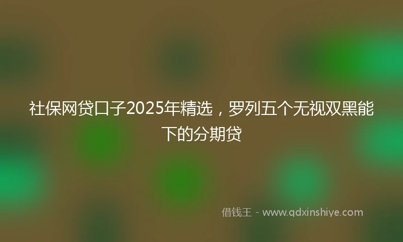 社保网贷口子2025年精选，罗列五个无视双黑能下的分期贷