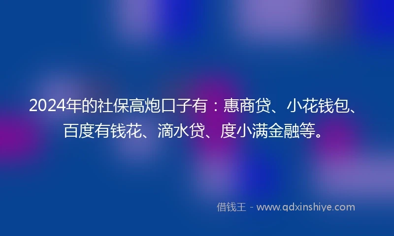 2024年的社保高炮口子有：惠商贷、小花钱包、百度有钱花、滴水贷、度小满金融等。