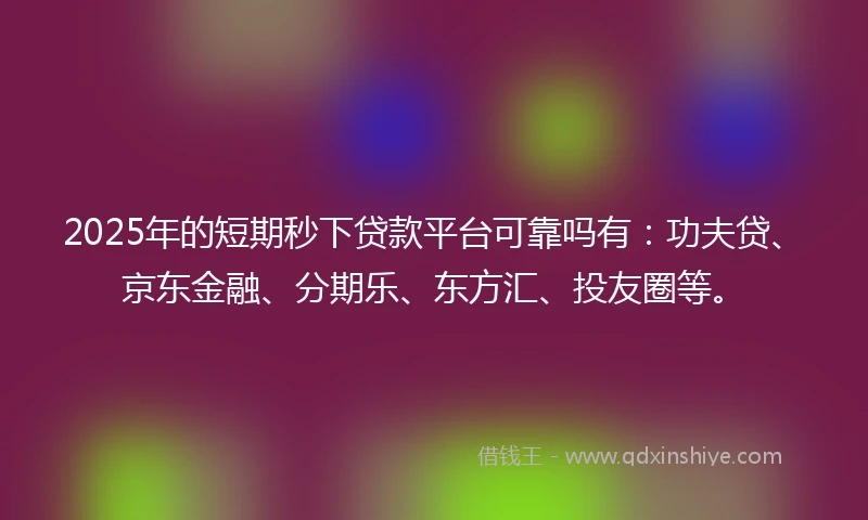 2025年的短期秒下贷款平台可靠吗有：功夫贷、京东金融、分期乐、东方汇、投友圈等。