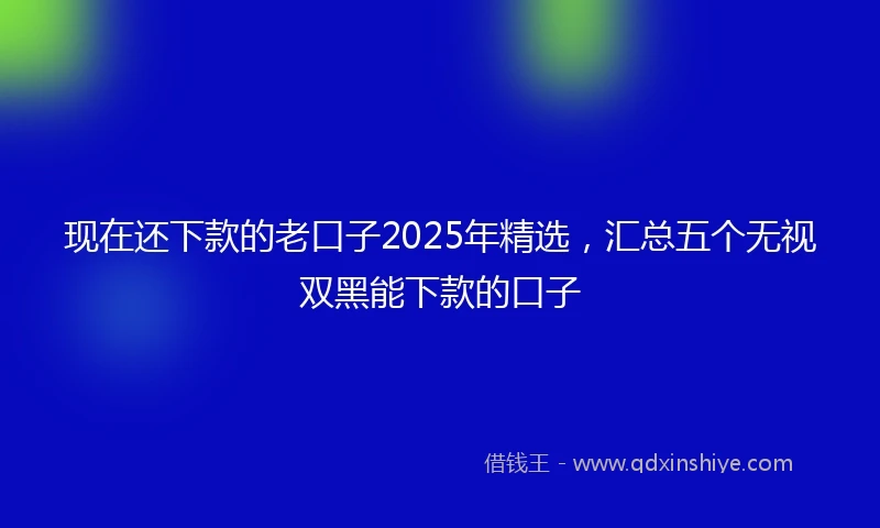 现在还下款的老口子2025年精选，汇总五个无视双黑能下款的口子