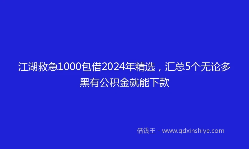 江湖救急1000包借2024年精选，汇总5个无论多黑有公积金就能下款