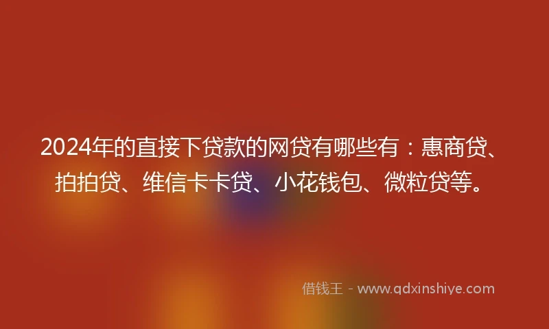 2024年的直接下贷款的网贷有哪些有：惠商贷、拍拍贷、维信卡卡贷、小花钱包、微粒贷等。