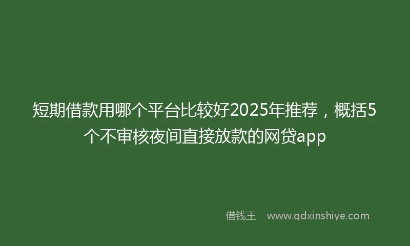 短期借款用哪个平台比较好2025年推荐,概括5个不审核夜间直接放款的网贷app