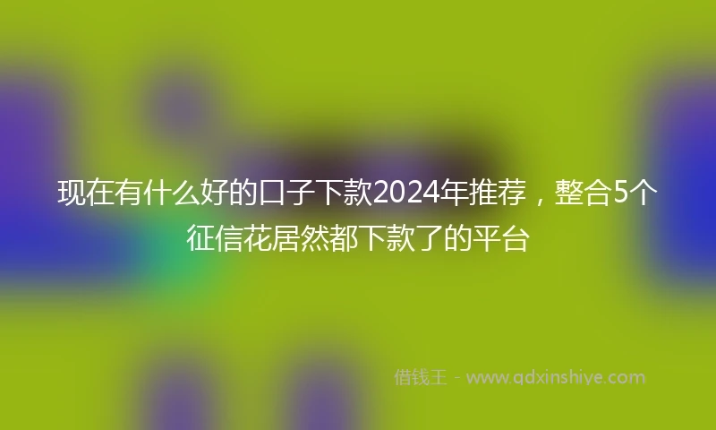 现在有什么好的口子下款2024年推荐，整合5个征信花居然都下款了的平台