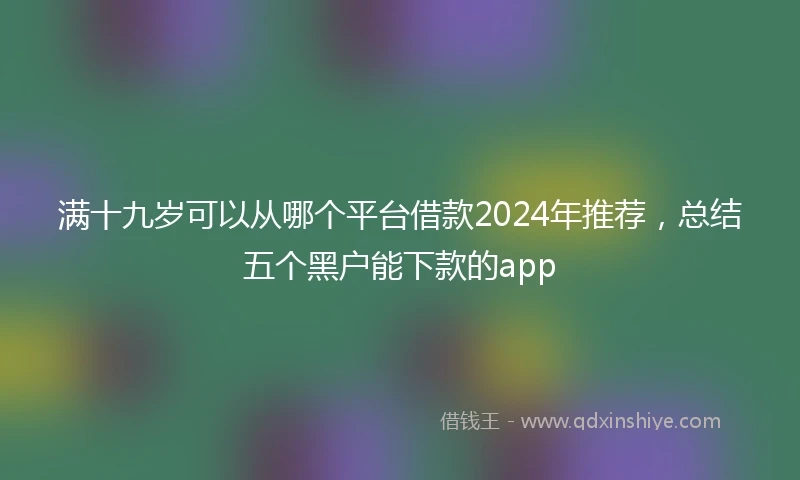 满十九岁可以从哪个平台借款2024年推荐，总结五个黑户能下款的app