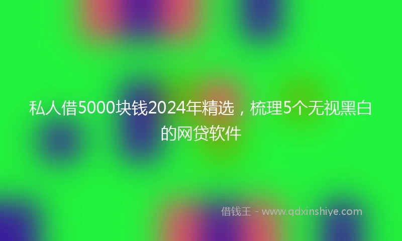 私人借5000块钱2024年精选，梳理5个无视黑白的网贷软件