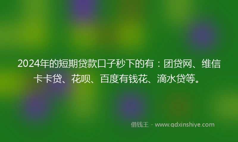 2024年的短期贷款口子秒下的有：团贷网、维信卡卡贷、花呗、百度有钱花、滴水贷等。