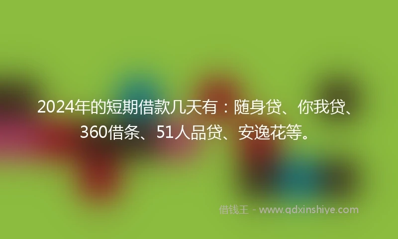 2024年的短期借款几天有：随身贷、你我贷、360借条、51人品贷、安逸花等。