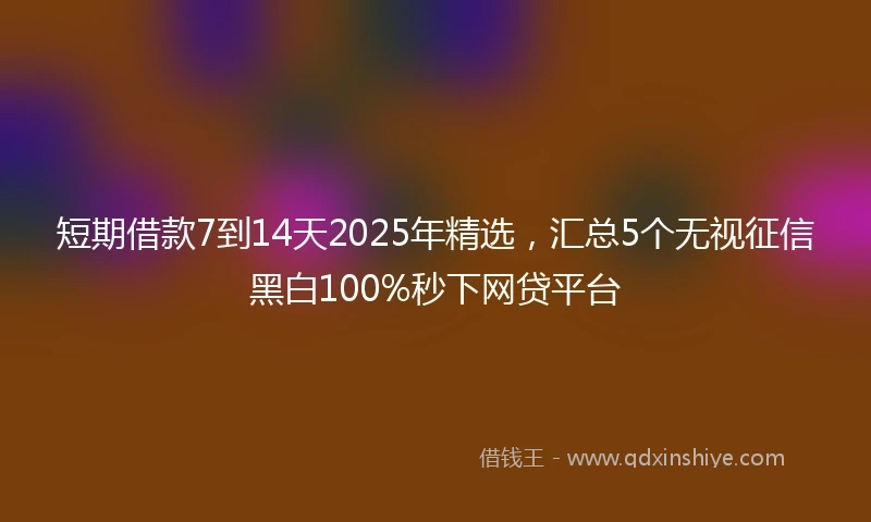 短期借款7到14天2025年精选，汇总5个无视征信黑白100%秒下网贷平台