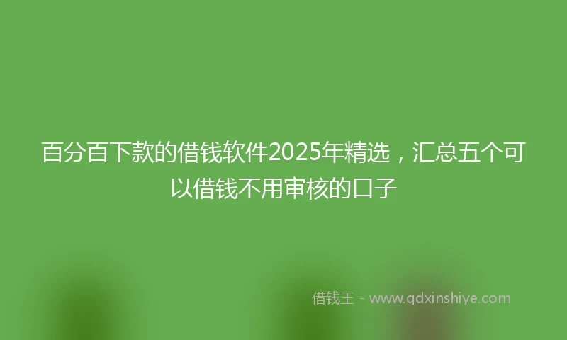 百分百下款的借钱软件2025年精选，汇总五个可以借钱不用审核的口子