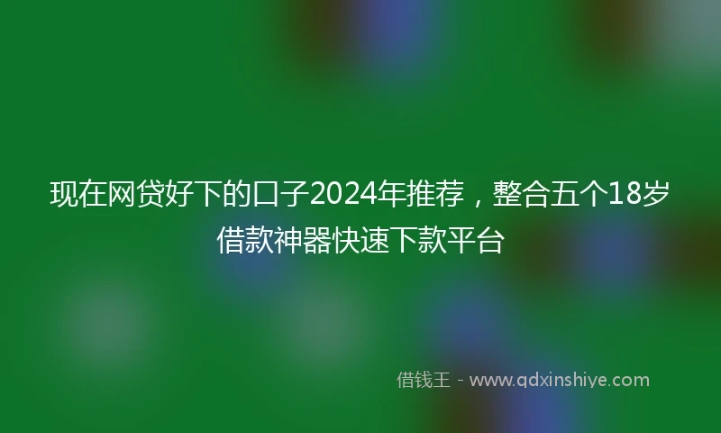 现在网贷好下的口子2024年推荐，整合五个18岁借款神器快速下款平台