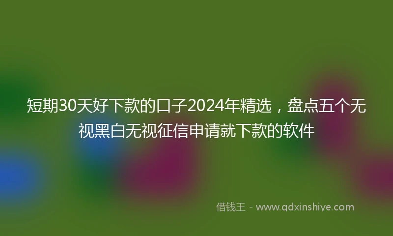 短期30天好下款的口子2024年精选，盘点五个无视黑白无视征信申请就下款的软件